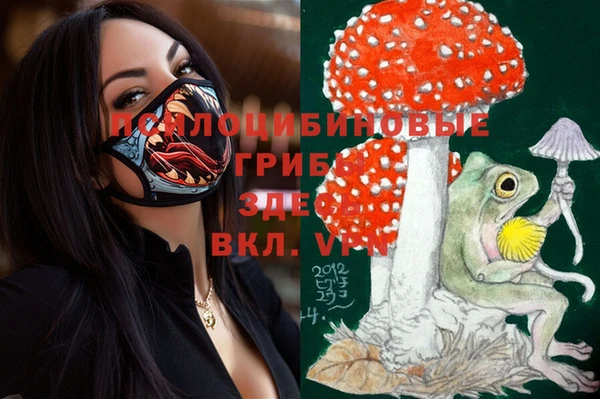 синтетический гашиш Балахна